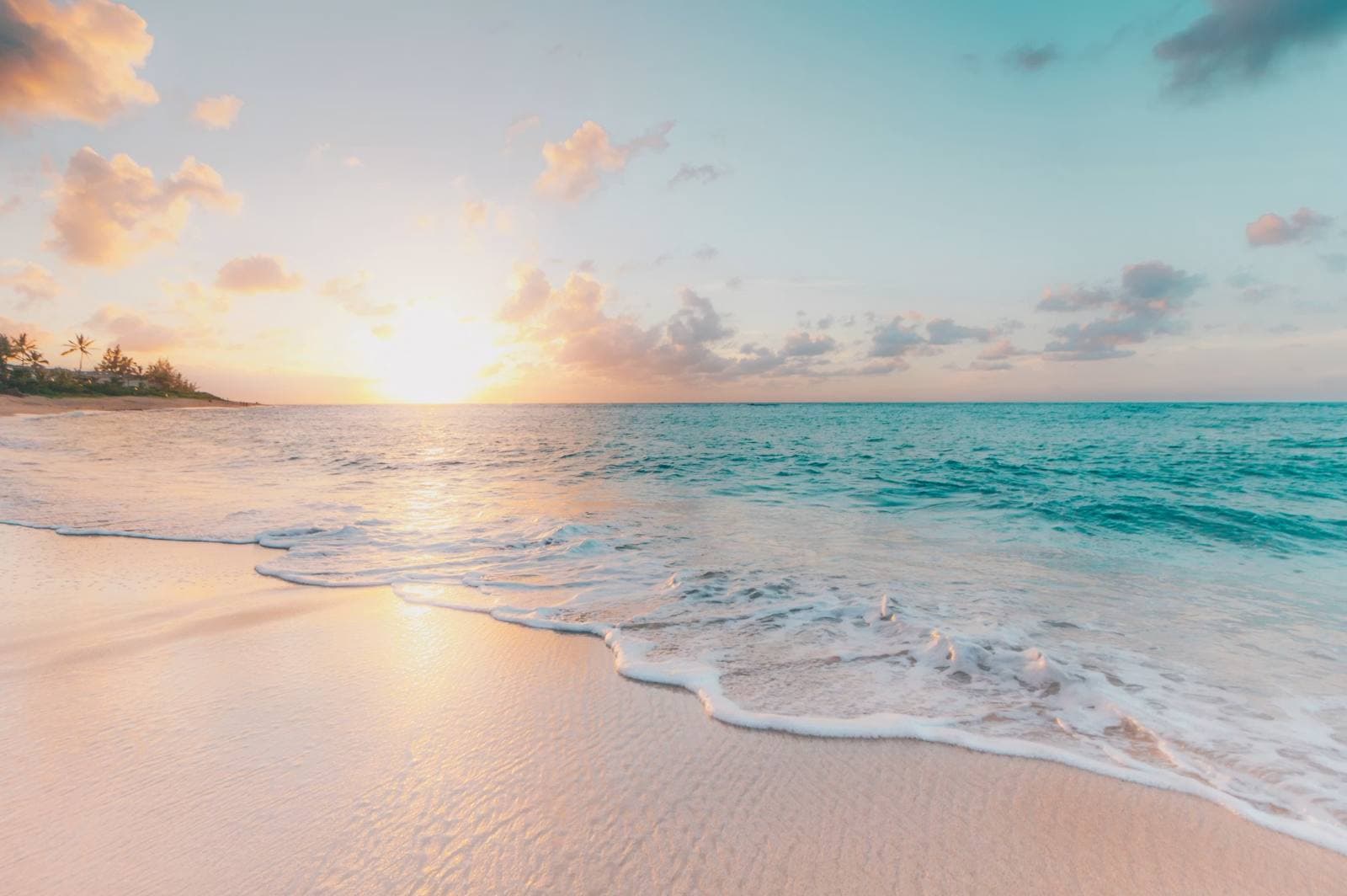 Travel & Hospitality — Booking platforms and guest experiences that lift occupancy and loyalty. Travel and Hospitality Software Development Services